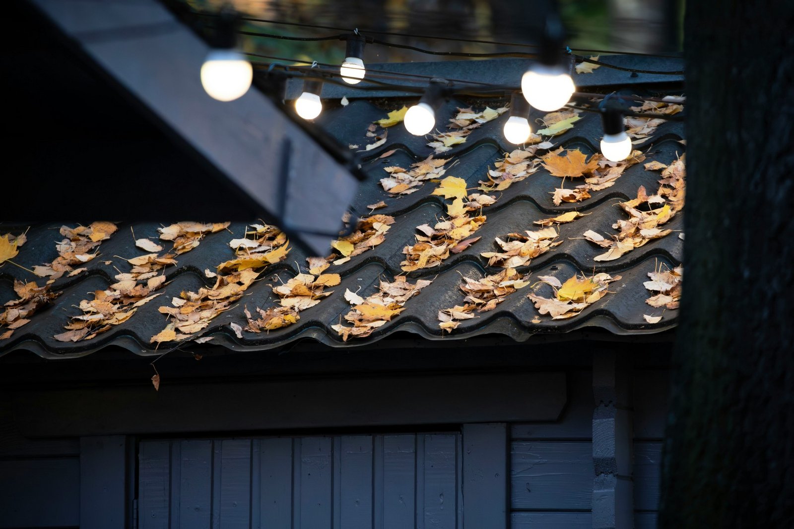 Herbstlaub auf einem Hausdach und in der Dachrinne