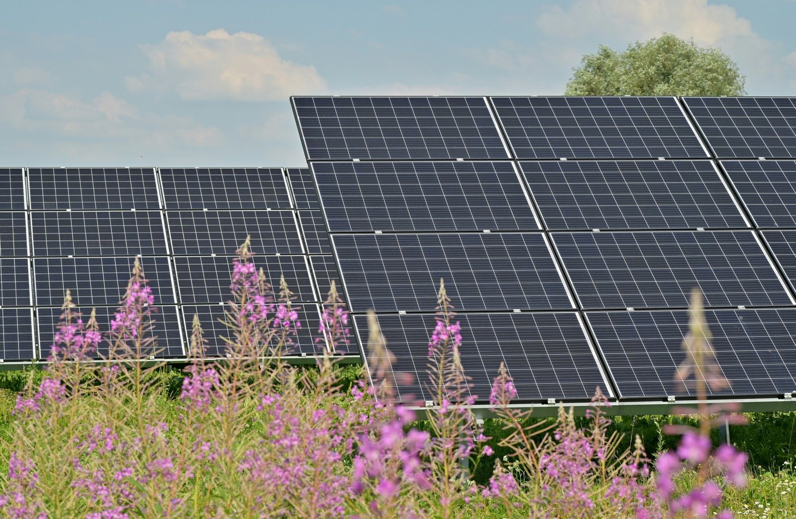 Nahaufnahme einer Solarmoduloberfläche