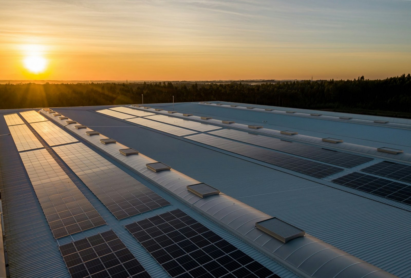 Solarmodule auf einem Dach an einem sonnigen Sommertag